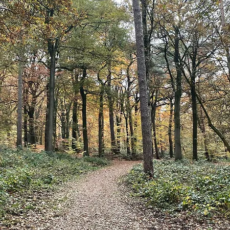 Hogerop Bennekom