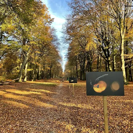 Villa Hogerop